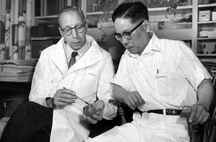 Doctors examine an artificial heart developed at the Cleveland Clinic.
